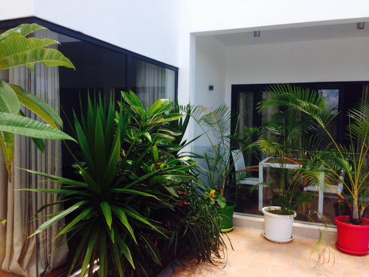 Apartmán Pingo Premium La Gaulette